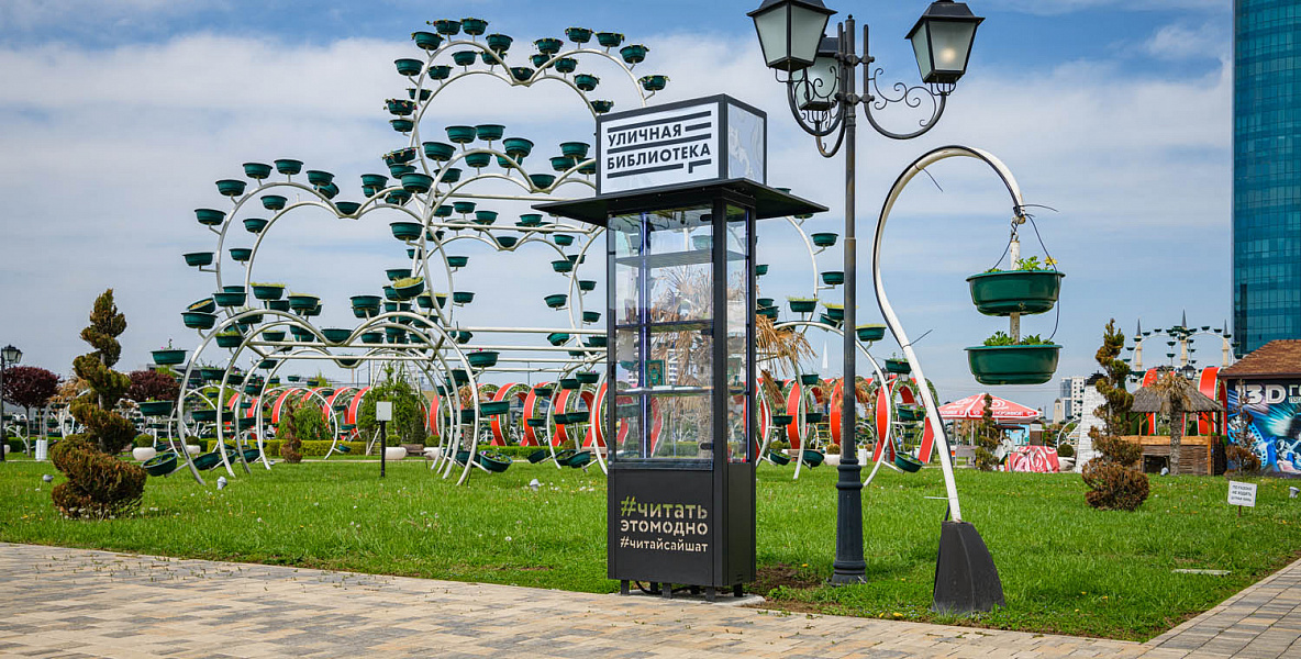 Уличные библиотеки проект
